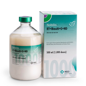 Nobilis RT+IBmulti+G+ND