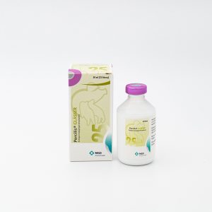 Porcilis® Glässer