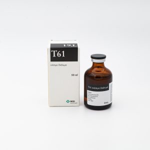 T61