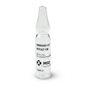 INNOVAX-ILT