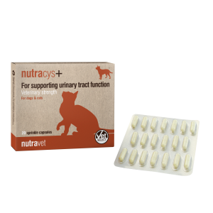 Nutracys+