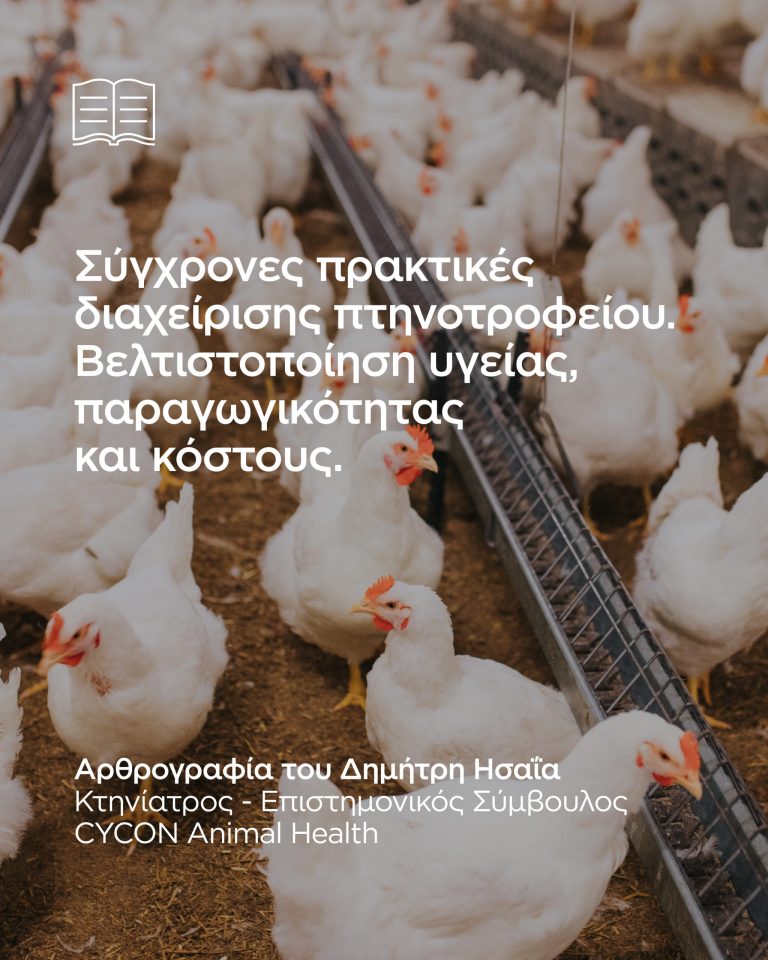 Read more about the article Σύγχρονες Πρακτικές Διαχείρισης Πτηνοτροφείου Βελτιστοποίηση Υγείας, Παραγωγικότητας και Κόστους