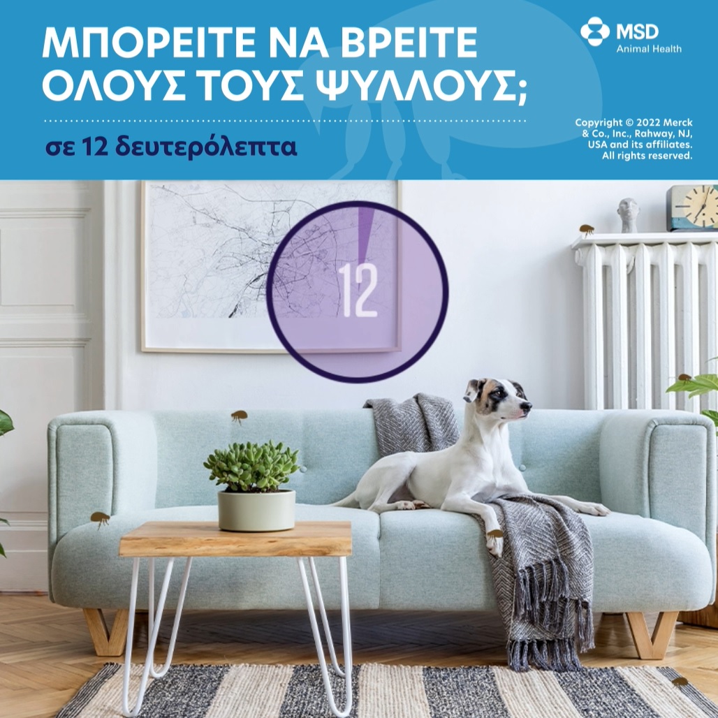 Read more about the article O βιολογικός κύκλος των ψύλλων