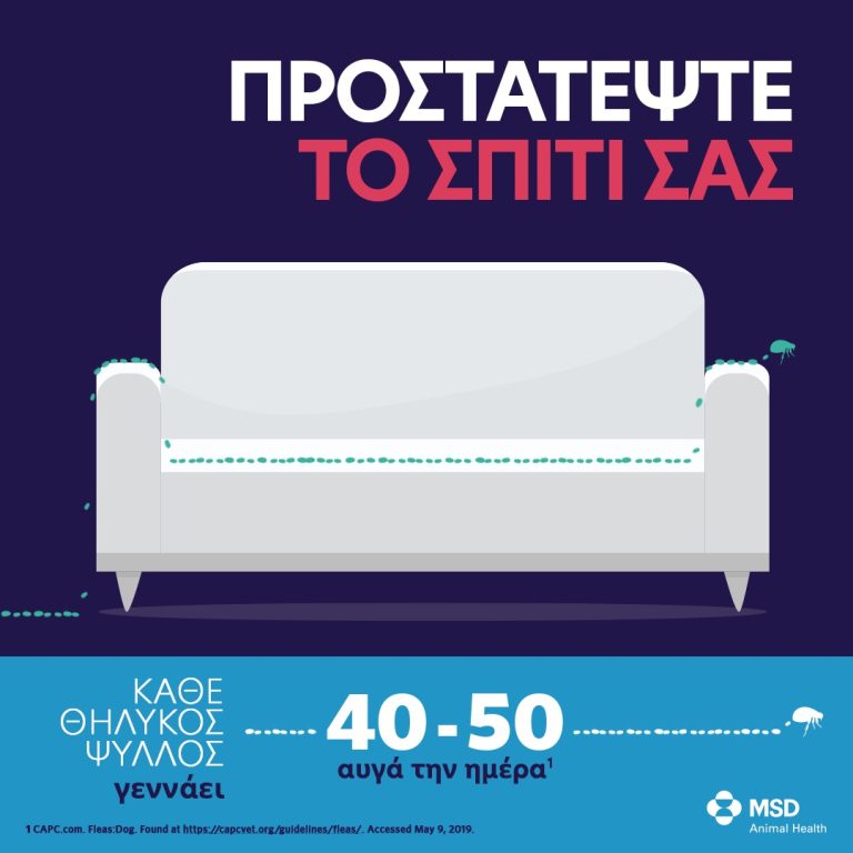 Read more about the article Μέτρα καταπολέμησης των ψύλλων στο περιβάλλον
