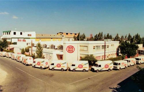 THE-COMPANY-1
